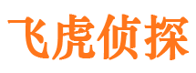 宝清外遇出轨调查取证